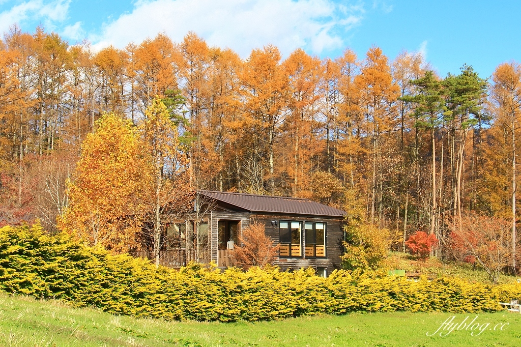 日本山梨｜清里萌木之村．充滿歐洲風情的童話小鎮，日本唯一森林裡的旋轉木馬 @飛天璇的口袋