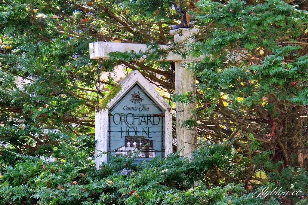 日本山梨｜清里萌木之村．充滿歐洲風情的童話小鎮，日本唯一森林裡的旋轉木馬 @飛天璇的口袋