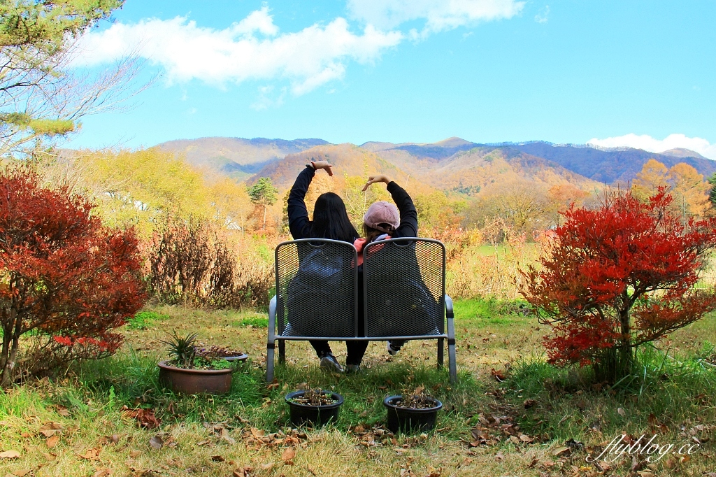 日本山梨｜清里萌木之村．充滿歐洲風情的童話小鎮，日本唯一森林裡的旋轉木馬 @飛天璇的口袋