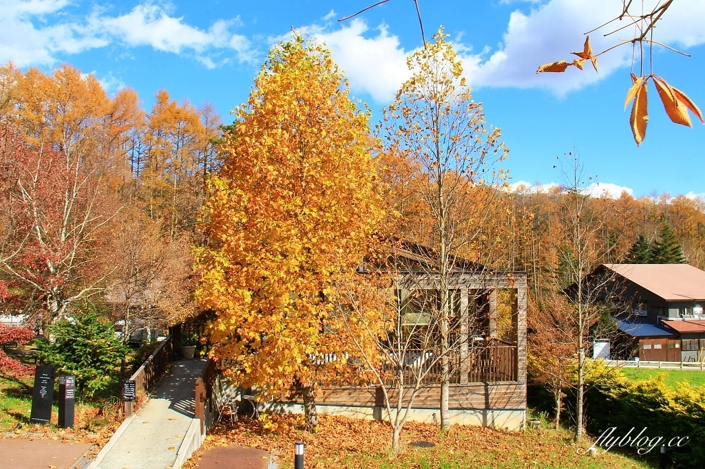 日本山梨｜清里萌木之村．充滿歐洲風情的童話小鎮，日本唯一森林裡的旋轉木馬 @飛天璇的口袋
