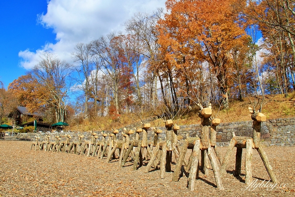日本山梨｜清里萌木之村．充滿歐洲風情的童話小鎮，日本唯一森林裡的旋轉木馬 @飛天璇的口袋