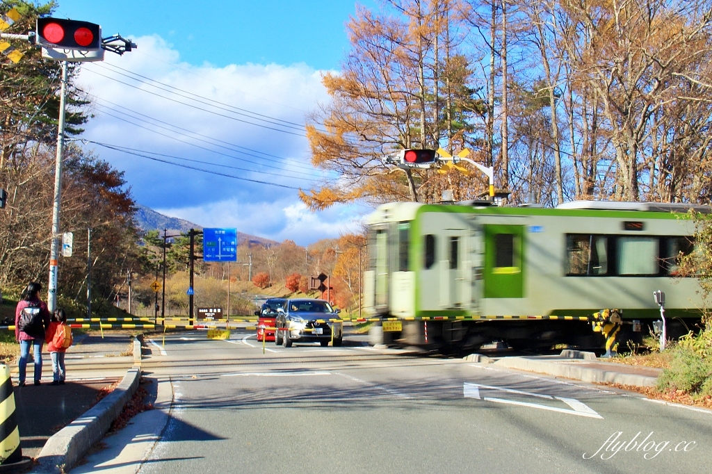 日本山梨｜清里萌木之村．充滿歐洲風情的童話小鎮，日本唯一森林裡的旋轉木馬 @飛天璇的口袋