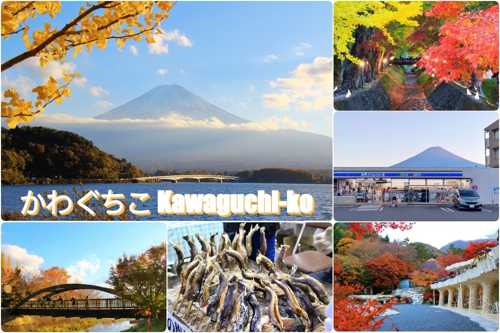 日本山梨｜2023河口湖楓葉季登場，河口湖一日遊景點和交通方式 @飛天璇的口袋