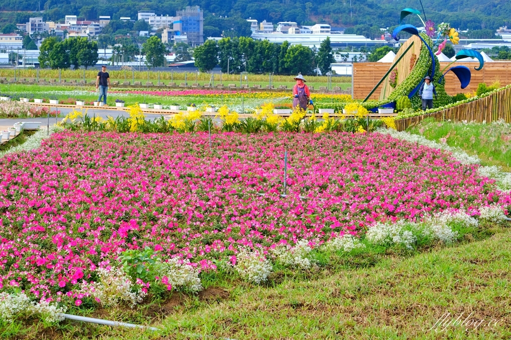 2023新社花海｜2023台中國際花毯節．全台首座漂浮花都，11/11~12/03登場 @飛天璇的口袋