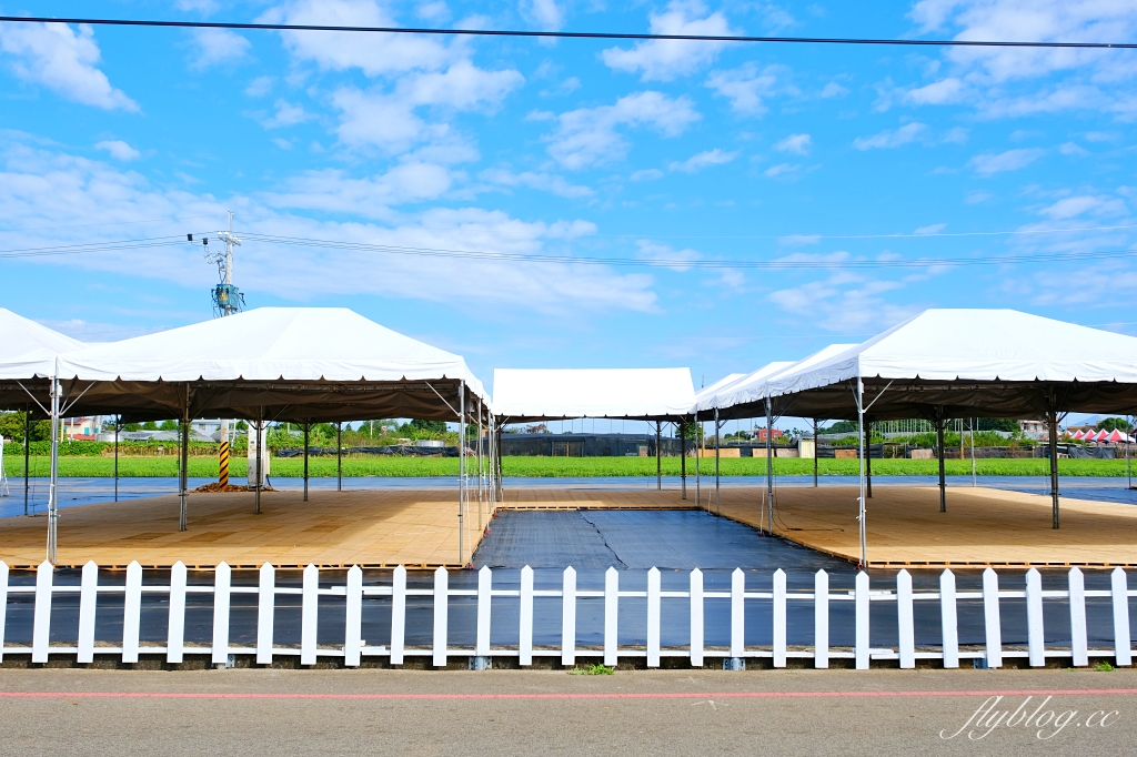 2023新社花海｜2023台中國際花毯節．全台首座漂浮花都，11/11~12/03登場 @飛天璇的口袋