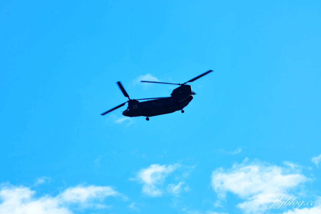 2023新社花海｜2023台中國際花毯節．全台首座漂浮花都，11/11~12/03登場 @飛天璇的口袋