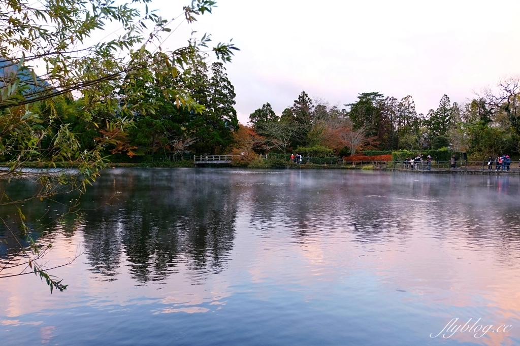 日本大分｜金鱗湖．由布院必訪景點，欣賞餘煙裊裊夢幻晨霧 @飛天璇的口袋