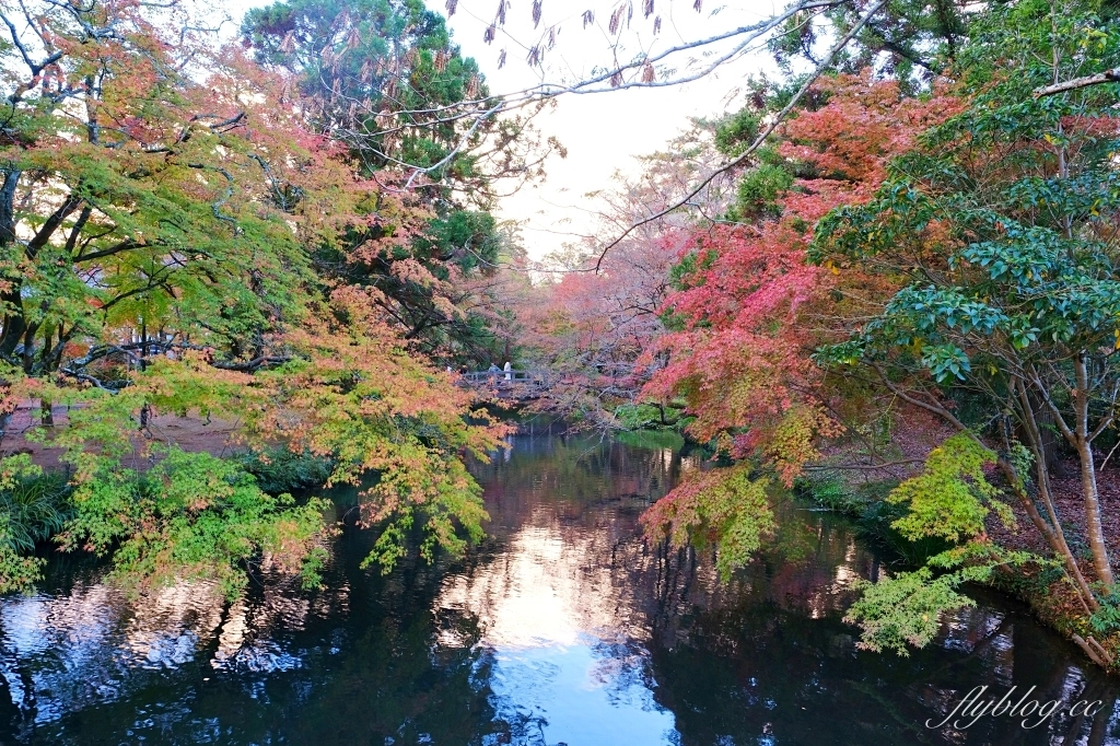 日本大分｜金鱗湖．由布院必訪景點，欣賞餘煙裊裊夢幻晨霧 @飛天璇的口袋