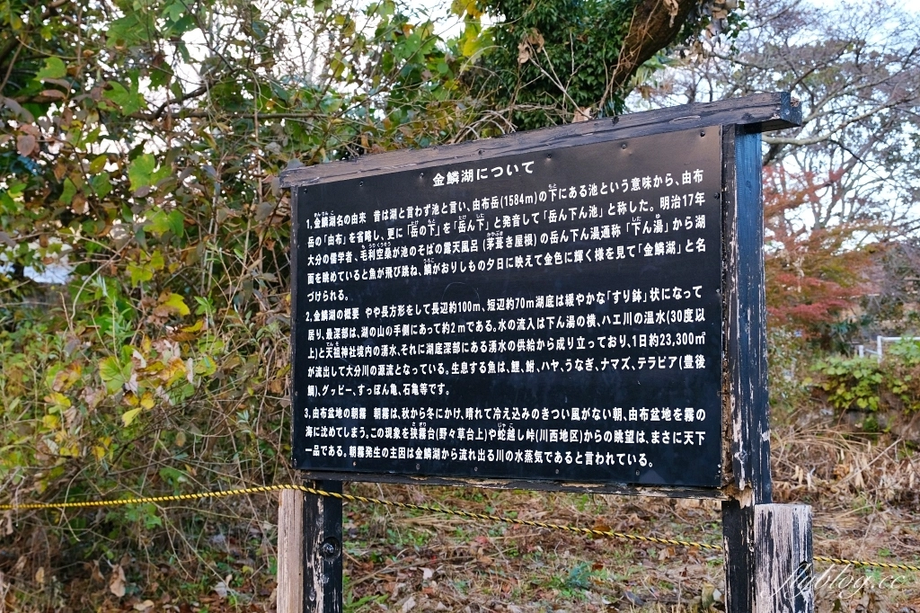 日本大分｜金鱗湖．由布院必訪景點，欣賞餘煙裊裊夢幻晨霧 @飛天璇的口袋