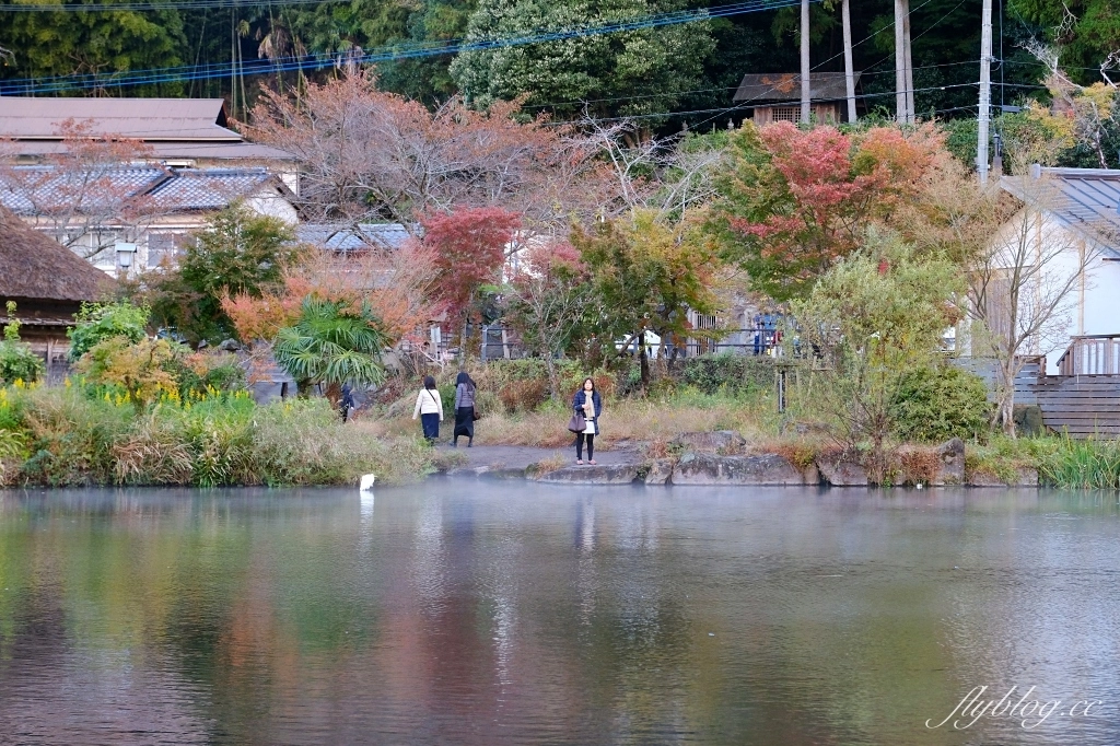 日本大分｜金鱗湖．由布院必訪景點，欣賞餘煙裊裊夢幻晨霧 @飛天璇的口袋
