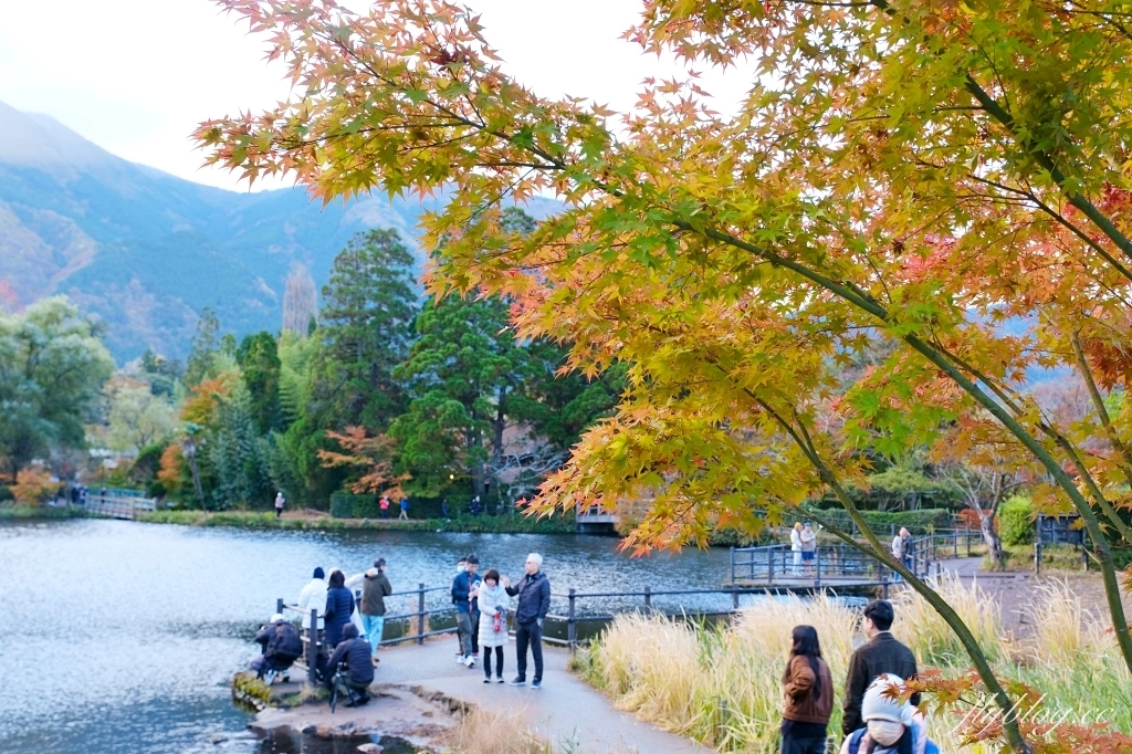 日本大分｜金鱗湖．由布院必訪景點，欣賞餘煙裊裊夢幻晨霧 @飛天璇的口袋