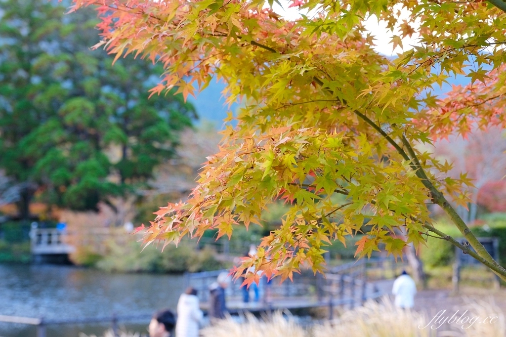 日本大分｜金鱗湖．由布院必訪景點，欣賞餘煙裊裊夢幻晨霧 @飛天璇的口袋
