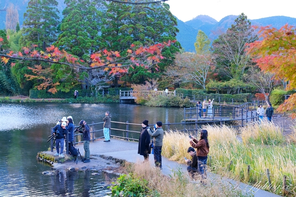 日本大分｜金鱗湖．由布院必訪景點，欣賞餘煙裊裊夢幻晨霧 @飛天璇的口袋