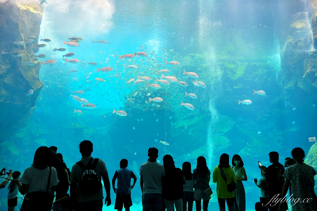 桃園旅遊｜桃園機場周邊一日遊．你不知道的桃園機場秘境，沿線好玩景點串連 @飛天璇的口袋