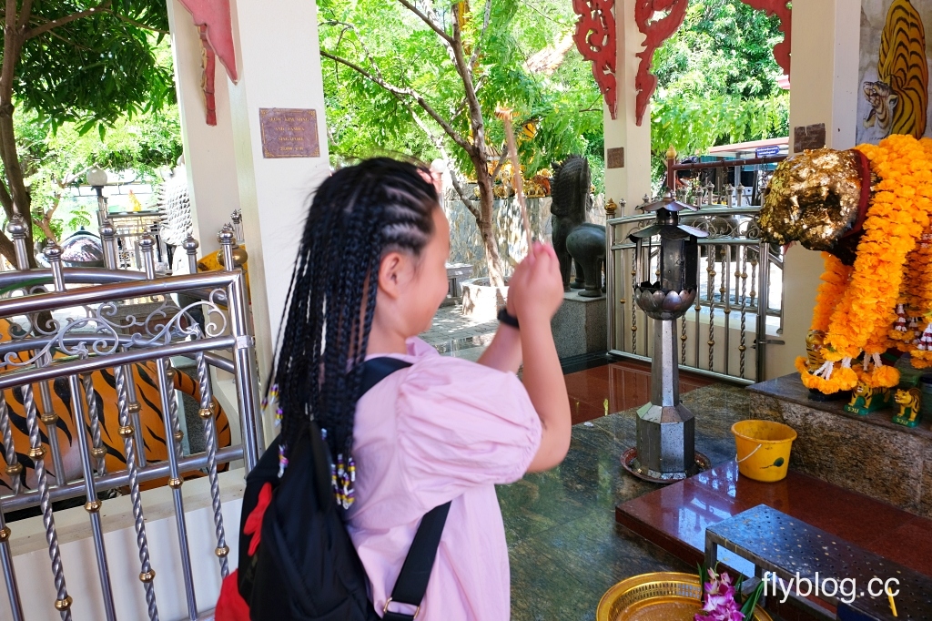 曼谷自由行｜泰國曼谷芭達雅．8天7夜行程規劃懶人包，飯店、交通、景點、美食 @飛天璇的口袋