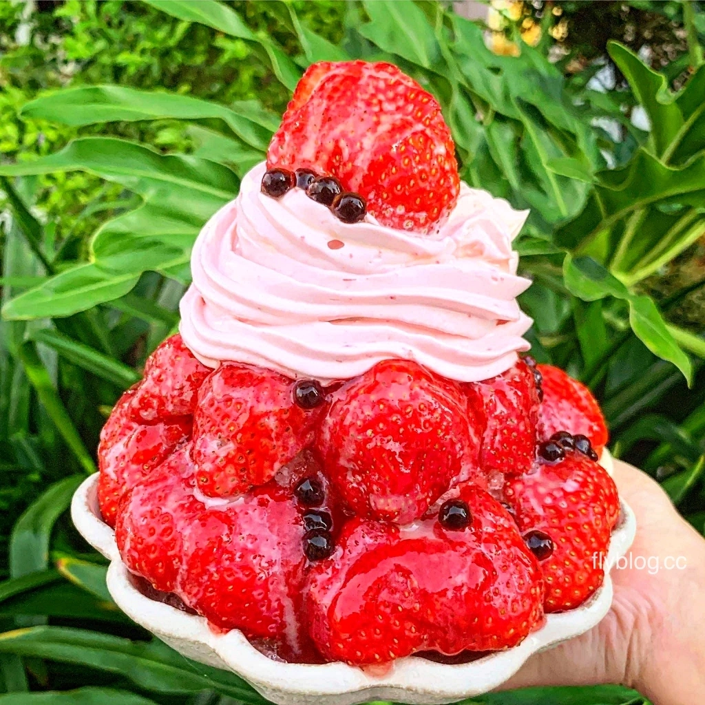 台南旅遊｜台南一日遊路線這樣排！親子旅遊景點、米其林小吃美食、台南必買伴手禮 @飛天璇的口袋