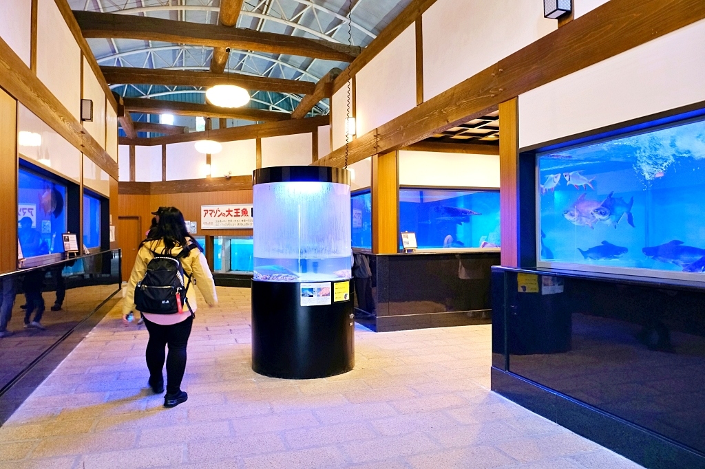 日本大分｜別府溫泉．日本第一溫泉鄉．七個地獄溫泉一日遊，交通方式路線攻略 @飛天璇的口袋