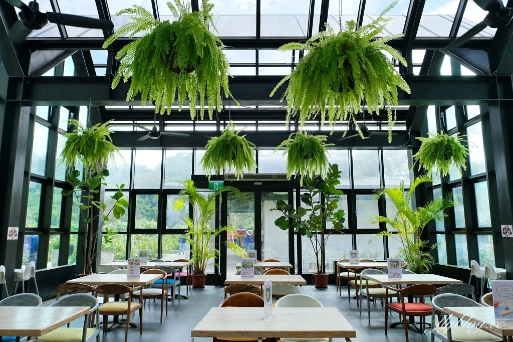 苗栗頭屋|雅聞七里香玫瑰森林.免費參觀,全台最大玫瑰花園 @飛天璇的口袋 苗栗頭屋|雅聞七里香玫瑰森林.免費參觀,全台最大玫瑰花園 @飛天璇的口袋