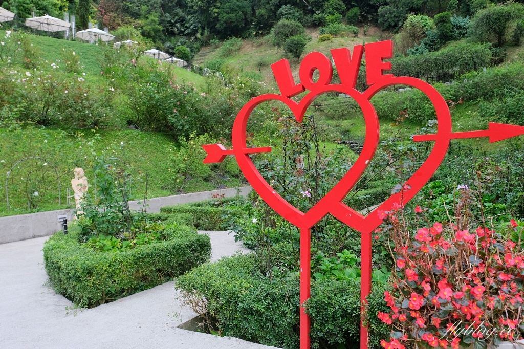 苗栗頭屋|雅聞七里香玫瑰森林.免費參觀,全台最大玫瑰花園 @飛天璇的口袋 苗栗頭屋|雅聞七里香玫瑰森林.免費參觀,全台最大玫瑰花園 @飛天璇的口袋