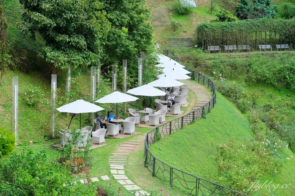 苗栗頭屋｜雅聞七里香玫瑰森林．免費參觀，全台最大玫瑰花園 @飛天璇的口袋