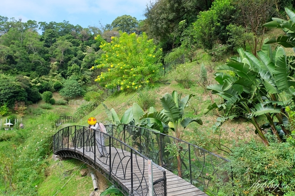 苗栗頭屋|雅聞七里香玫瑰森林.免費參觀,全台最大玫瑰花園 @飛天璇的口袋 苗栗頭屋|雅聞七里香玫瑰森林.免費參觀,全台最大玫瑰花園 @飛天璇的口袋