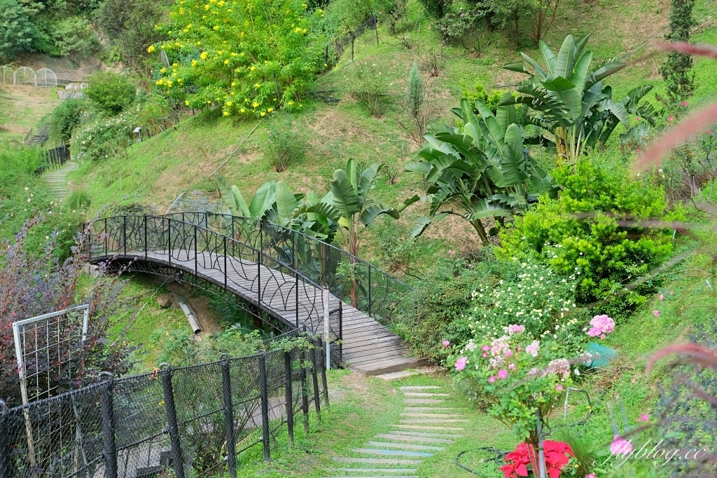 苗栗頭屋|雅聞七里香玫瑰森林.免費參觀,全台最大玫瑰花園 @飛天璇的口袋 苗栗頭屋|雅聞七里香玫瑰森林.免費參觀,全台最大玫瑰花園 @飛天璇的口袋