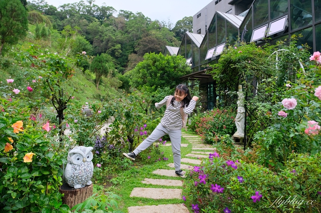 苗栗頭屋｜雅聞七里香玫瑰森林．免費參觀，全台最大玫瑰花園 @飛天璇的口袋