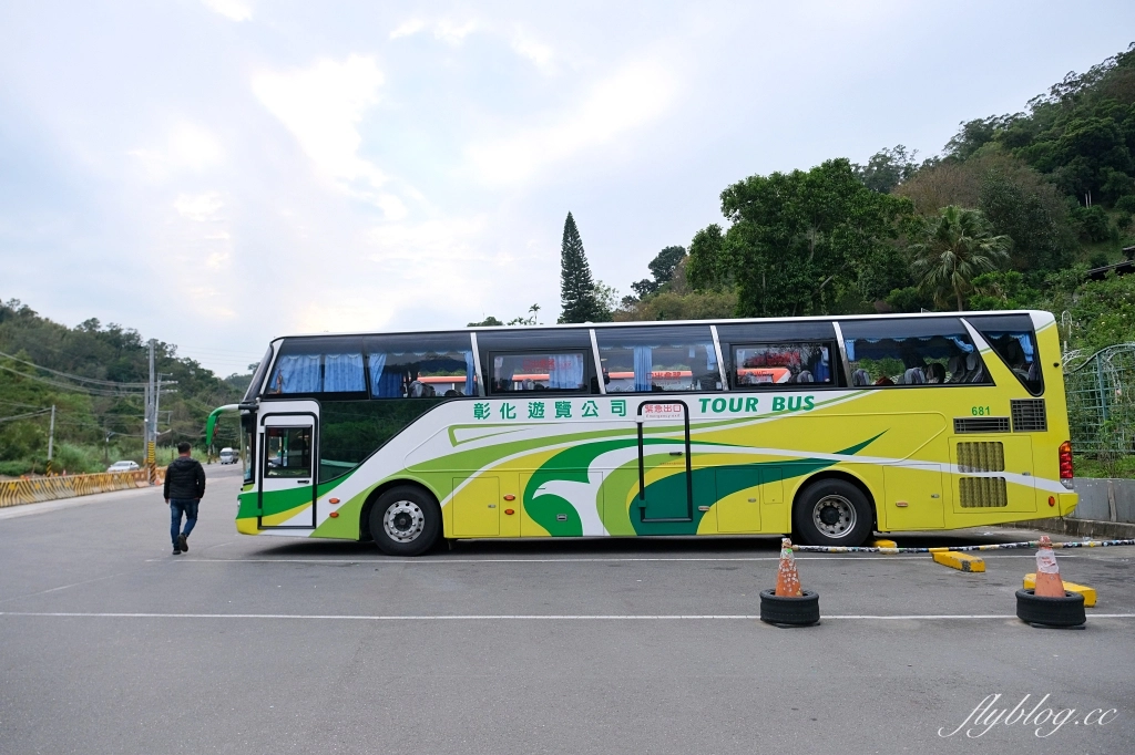 苗栗頭屋｜雅聞七里香玫瑰森林．免費參觀，全台最大玫瑰花園 @飛天璇的口袋