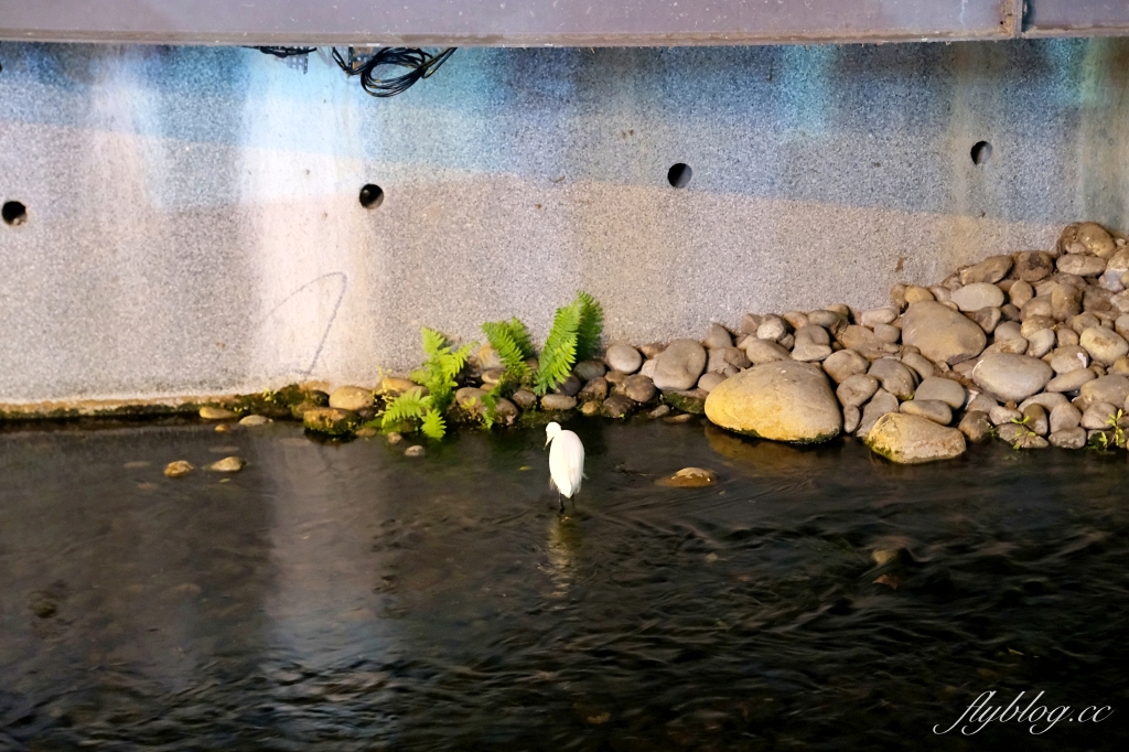 台中旅遊|2023新盛綠川水岸廊道.台中耶誕嘉年華,可愛的聖誕老公公拉雪橇 @飛天璇的口袋 台中旅遊|2023新盛綠川水岸廊道.台中耶誕嘉年華,可愛的聖誕老公公拉雪橇 @飛天璇的口袋