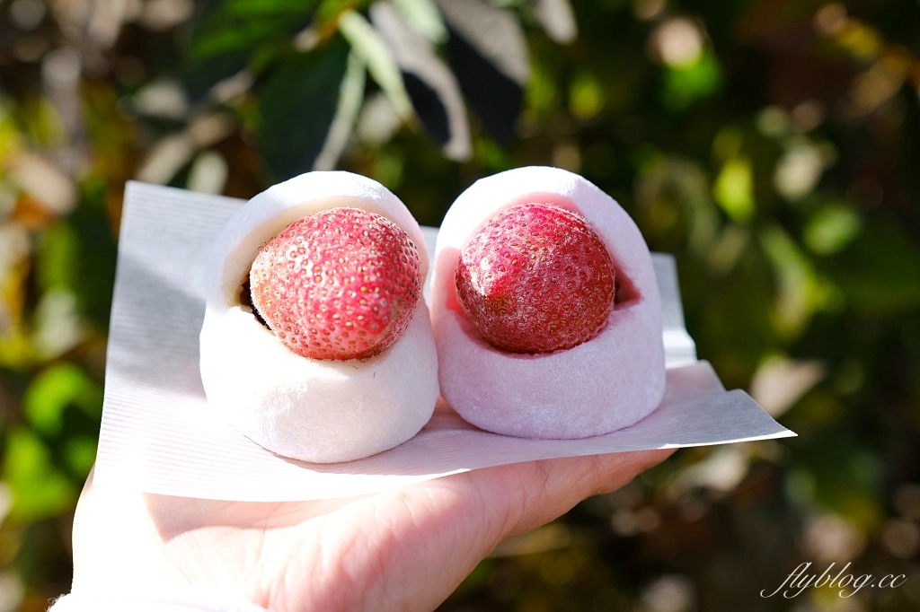 日本大分｜京丹波草莓大福．京都錦市場人氣美食，由布院湯之坪也吃得到 @飛天璇的口袋