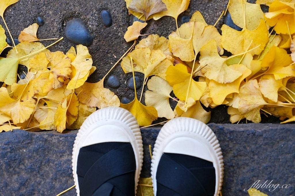 日本熊本｜黑川溫泉．日本米其林旅遊指南推介，日本溫泉100選氛圍第一名 @飛天璇的口袋