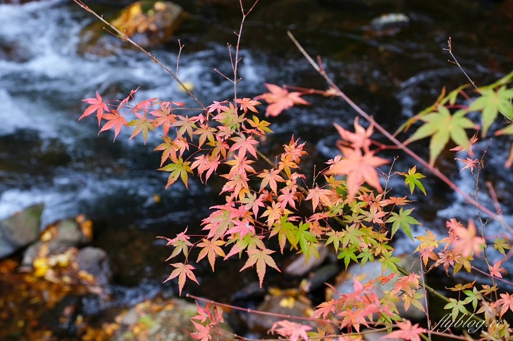 日本熊本｜黑川溫泉．日本米其林旅遊指南推介，日本溫泉100選氛圍第一名 @飛天璇的口袋