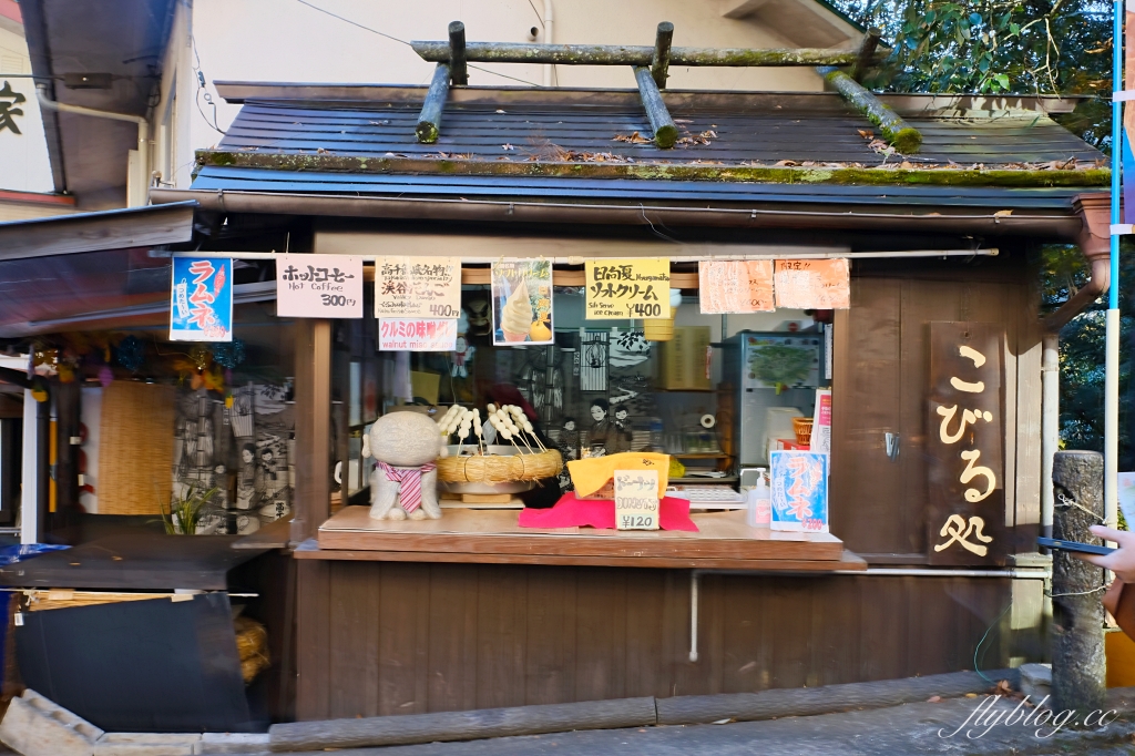 日本宮崎｜高千穗峽．宮崎最重要的觀光景點，交通方式及划船預約方式 @飛天璇的口袋