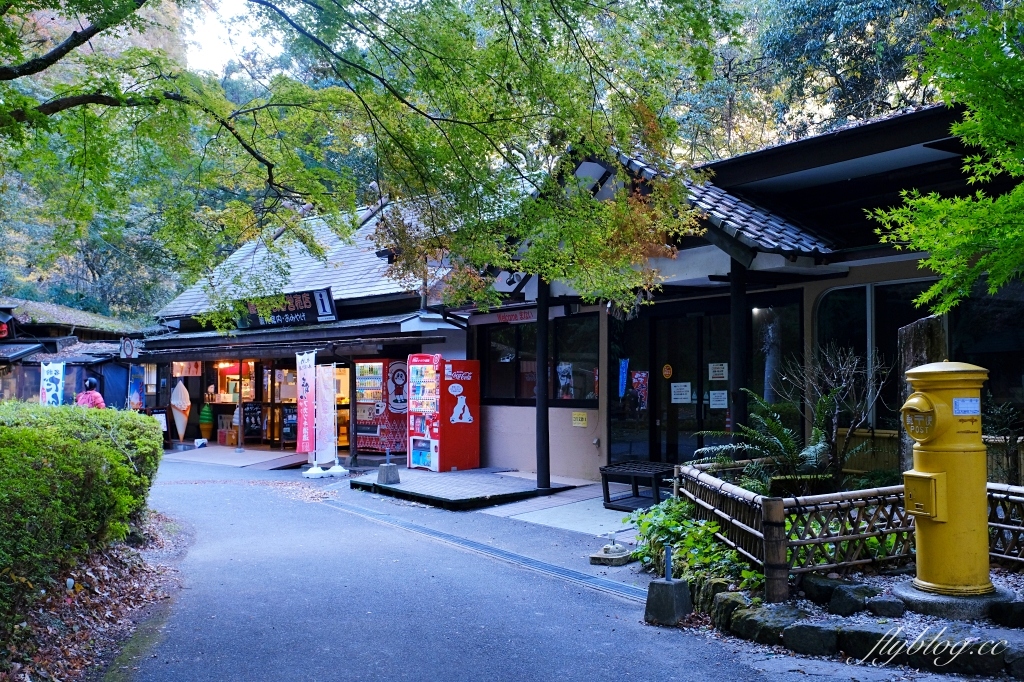 日本宮崎｜高千穗峽．宮崎最重要的觀光景點，交通方式及划船預約方式 @飛天璇的口袋