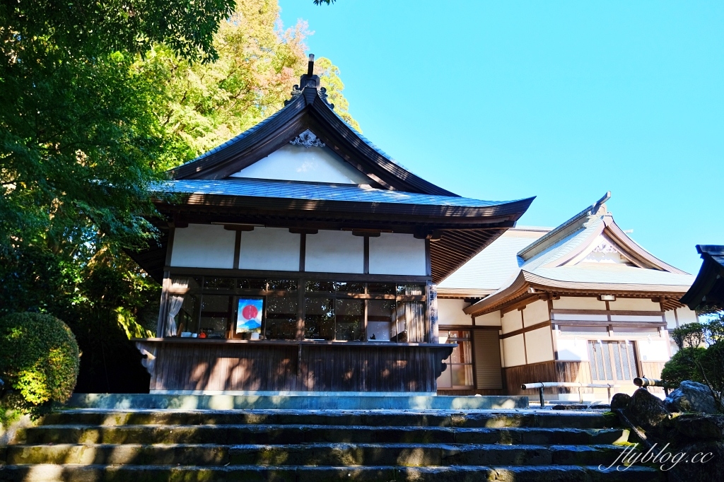 日本宮崎｜高千穗神社．1900年的歷史的神社，手牽手繞兩棵樹走一圈 @飛天璇的口袋