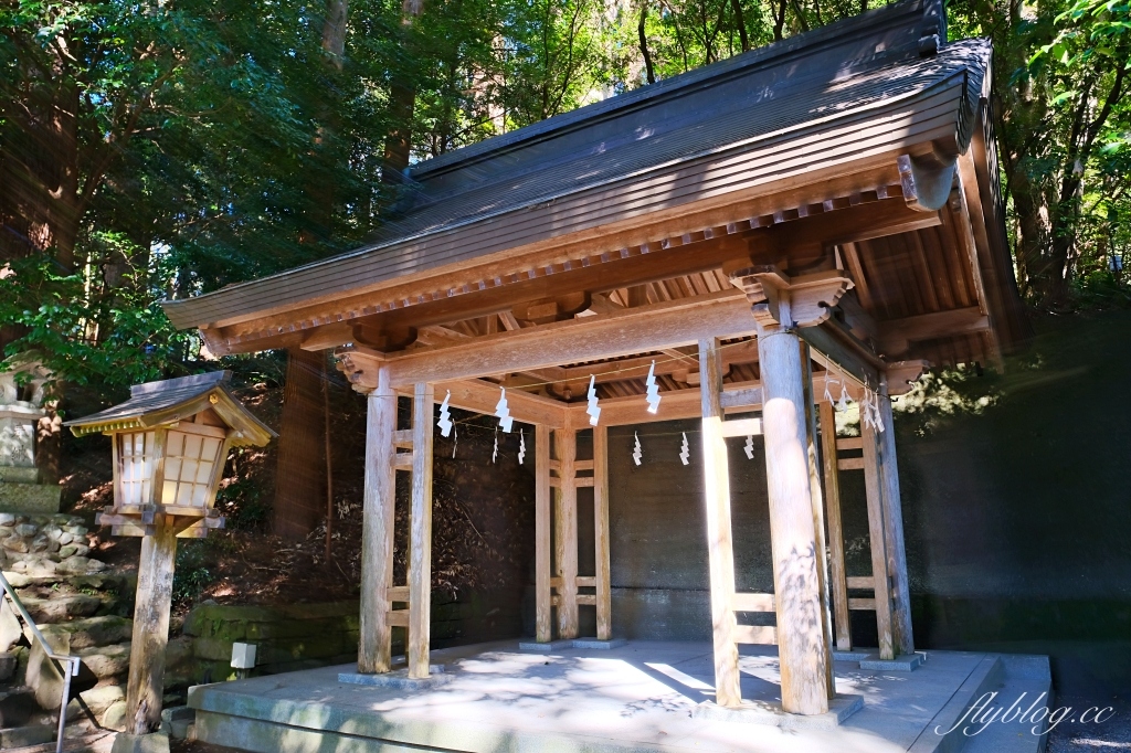 日本宮崎｜高千穗神社．1900年的歷史的神社，手牽手繞兩棵樹走一圈 @飛天璇的口袋