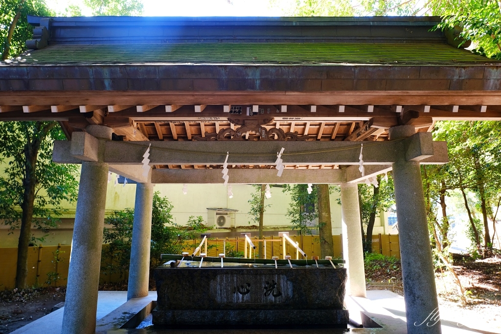 日本宮崎｜高千穗神社．1900年的歷史的神社，手牽手繞兩棵樹走一圈 @飛天璇的口袋