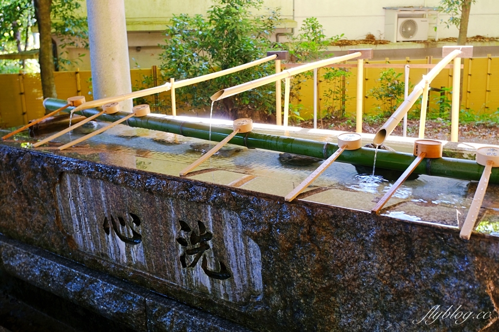 日本宮崎｜高千穗神社．1900年的歷史的神社，手牽手繞兩棵樹走一圈 @飛天璇的口袋