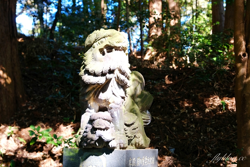 日本宮崎｜高千穗神社．1900年的歷史的神社，手牽手繞兩棵樹走一圈 @飛天璇的口袋