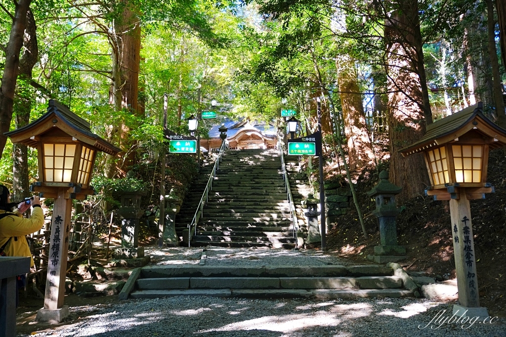 日本宮崎｜高千穗神社．1900年的歷史的神社，手牽手繞兩棵樹走一圈 @飛天璇的口袋