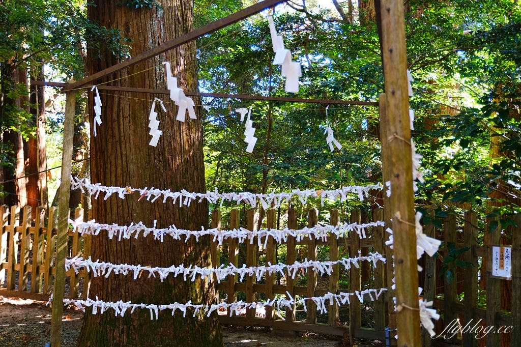 日本宮崎｜高千穗神社．1900年的歷史的神社，手牽手繞兩棵樹走一圈 @飛天璇的口袋