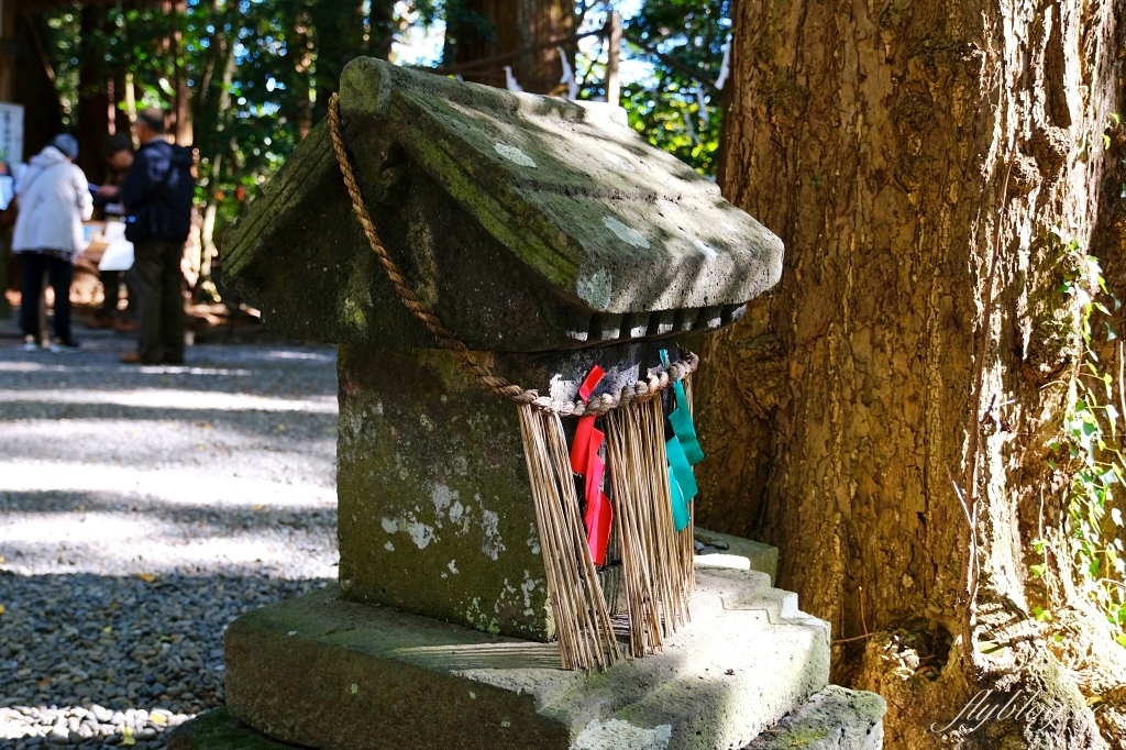日本宮崎｜高千穗神社．1900年的歷史的神社，手牽手繞兩棵樹走一圈 @飛天璇的口袋