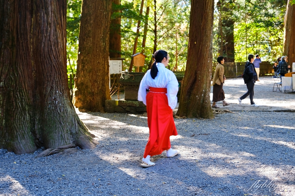 日本宮崎｜高千穗神社．1900年的歷史的神社，手牽手繞兩棵樹走一圈 @飛天璇的口袋