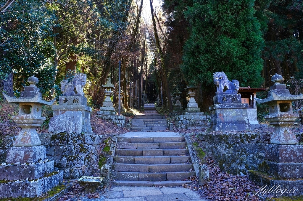 日本熊本｜上色見熊野座神社．人氣動漫螢火之森場景，仿佛走進異次元的神秘通道 @飛天璇的口袋