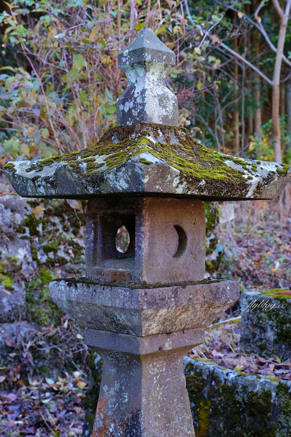 日本熊本｜上色見熊野座神社．人氣動漫螢火之森場景，仿佛走進異次元的神秘通道 @飛天璇的口袋