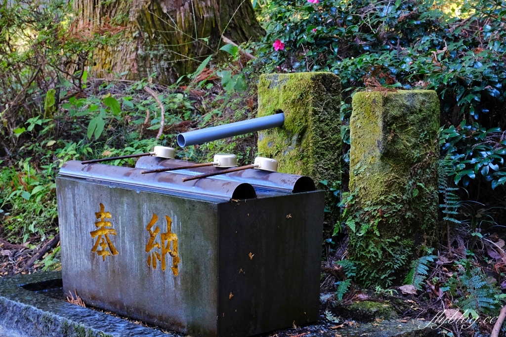 日本熊本｜上色見熊野座神社．人氣動漫螢火之森場景，仿佛走進異次元的神秘通道 @飛天璇的口袋