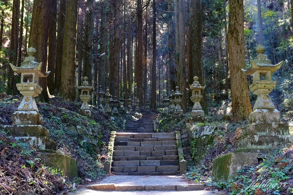 日本熊本｜上色見熊野座神社．人氣動漫螢火之森場景，仿佛走進異次元的神秘通道 @飛天璇的口袋