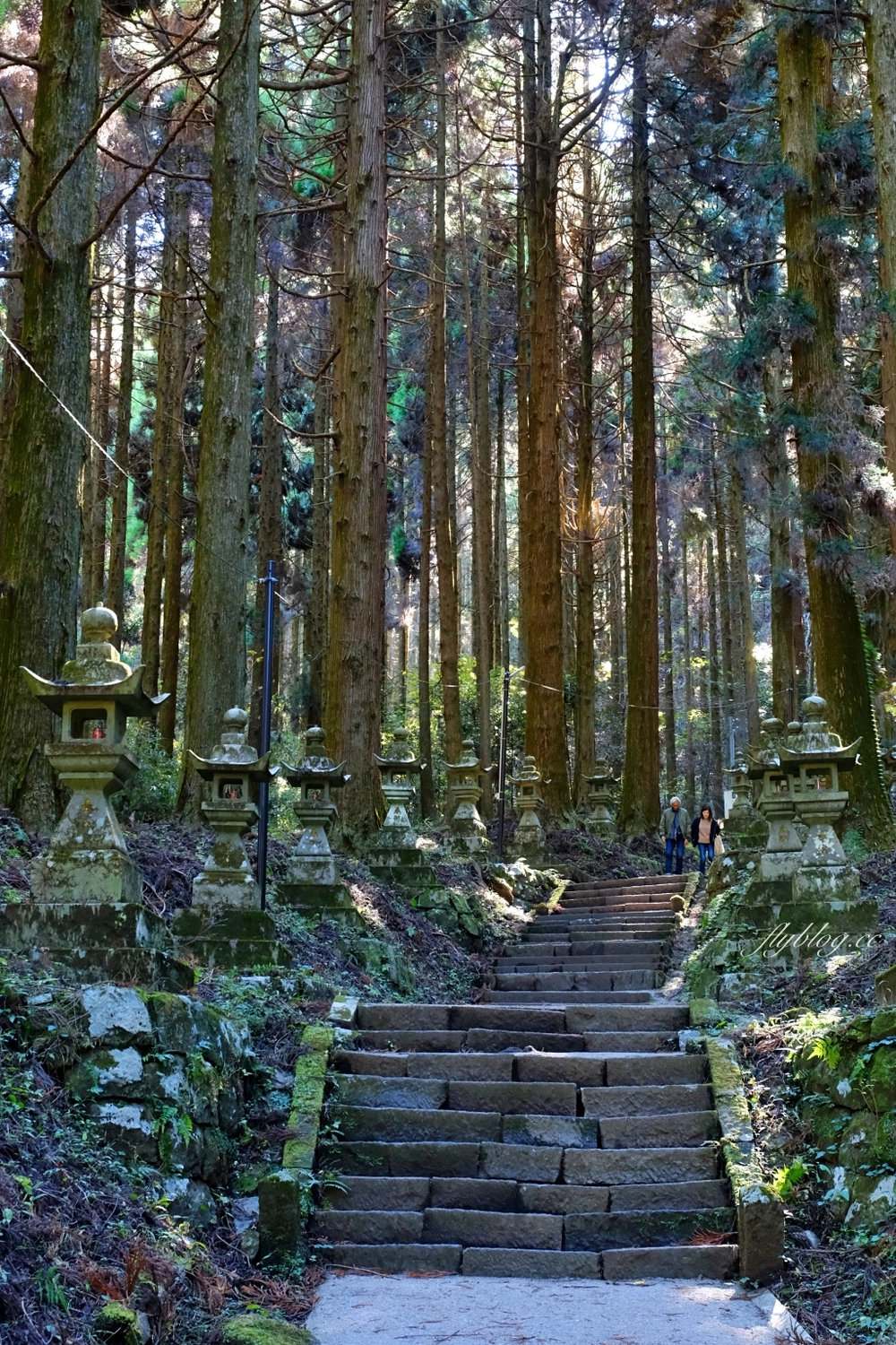 日本熊本｜上色見熊野座神社．人氣動漫螢火之森場景，仿佛走進異次元的神秘通道 @飛天璇的口袋