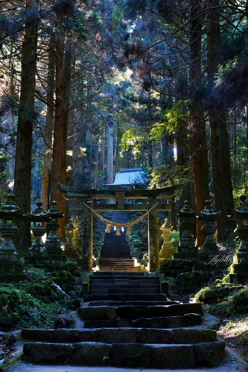 日本熊本｜上色見熊野座神社．人氣動漫螢火之森場景，仿佛走進異次元的神秘通道 @飛天璇的口袋