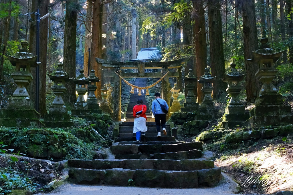 【九州自由行】北九州8天7夜自駕行程．福岡租車、九州景點、行程規劃 @飛天璇的口袋